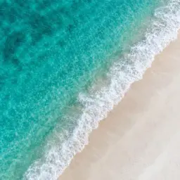 shoreline