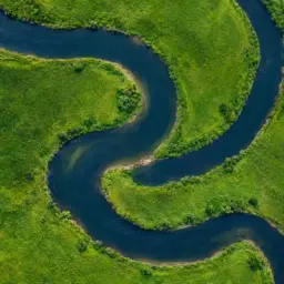 meadow river