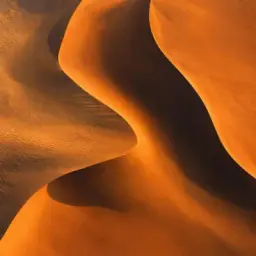dune curves