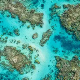 reef lagoon