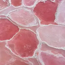 salt flats