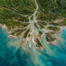 river delta