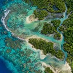 living coast