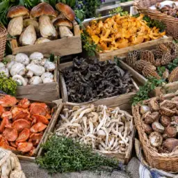 mushroom stall