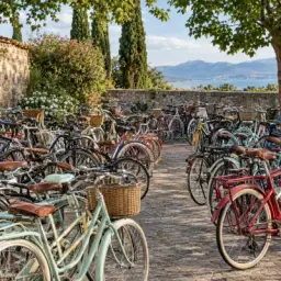 bike sea