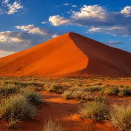 red dune